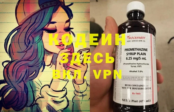 хмурый Алексин