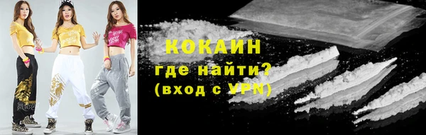 хмурый Алексин