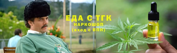 хмурый Алексин