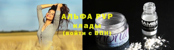 хмурый Алексин