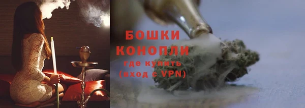 прущие грибы Бабаево