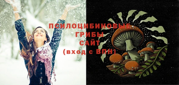 хмурый Алексин
