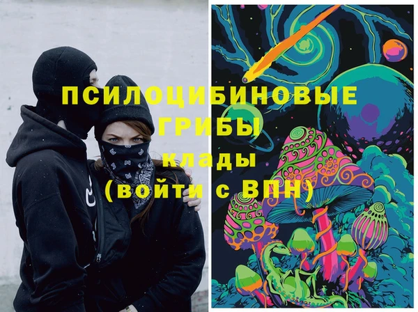 хмурый Алексин