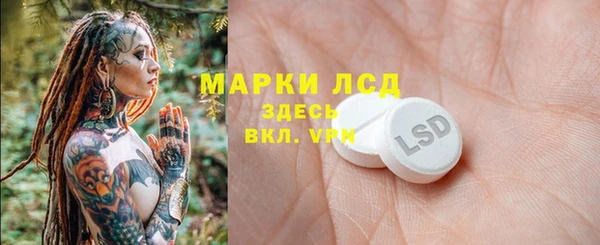 хмурый Алексин
