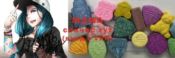 хмурый Алексин