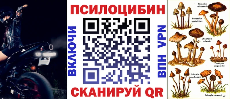 Псилоцибиновые грибы Psilocybe  MEGA как войти  Бийск 
